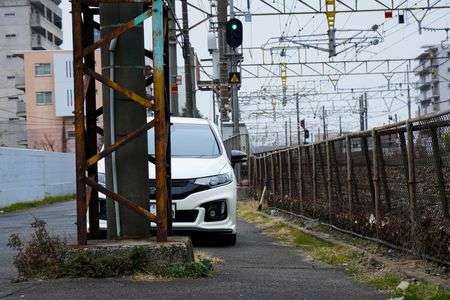 はい、ひょっこりはん