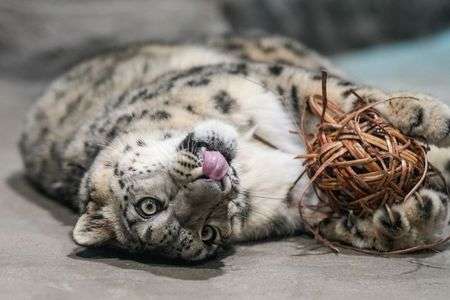 宝物を抱えて…