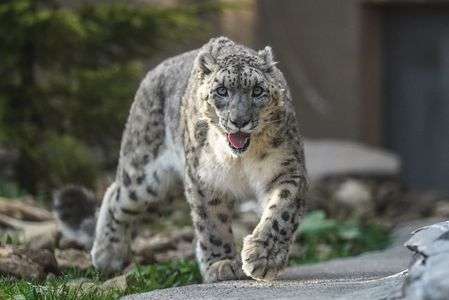 ずんずんパトロール！