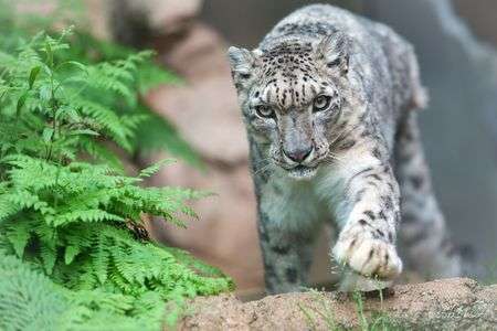 最愛の貴女へ…