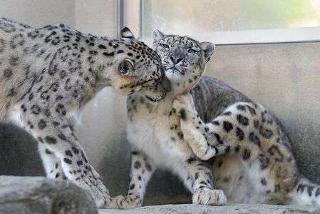 優しい時間をありがとう…