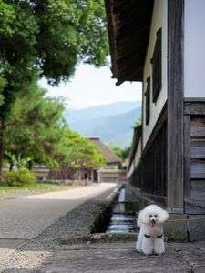 松代町を街歩き♪