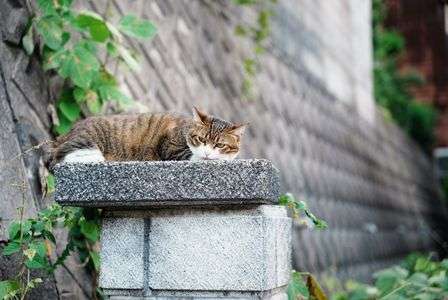 こっちみるなよ〜