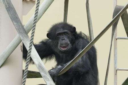 守りたいその笑顔