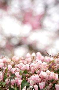 曇り空だから見えたこと