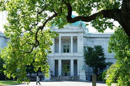 キラキラの日差しの中で