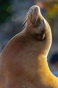 午後の動物園にて