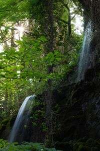 マイナスイオン