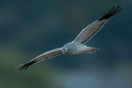 曇りで陽が沈む頃…