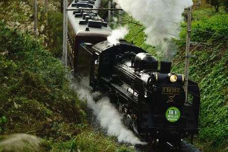 パレオエクスプレス　力強く