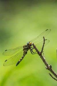 ちょっと閲覧注意かも笑