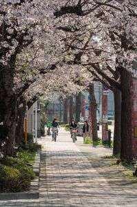 だんだん暑くなってきますね…💦