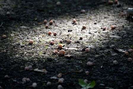 スポットライト