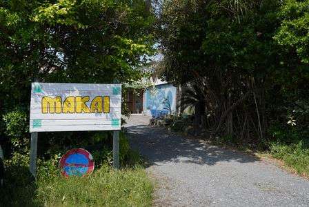 カフェへ続く道