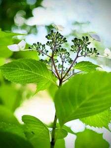 上から見るか下から見るか