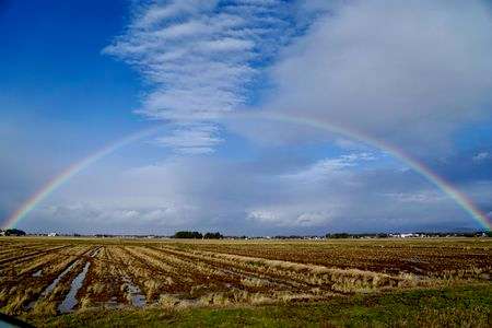 思いがけず虹　〜白鳥いないけど・・・〜
