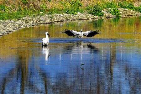 それぞれの刻（とき）…S