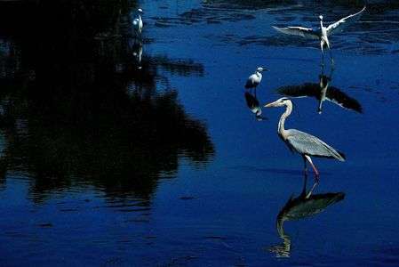 それぞれの刻（とき）