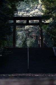 ここから先、神域につき