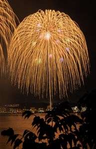 かごしまサマーナイト大花火大会