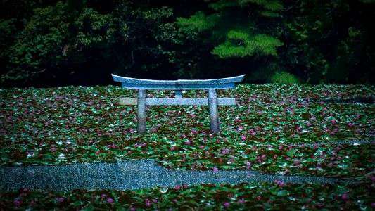 弁天池の沈み鳥居