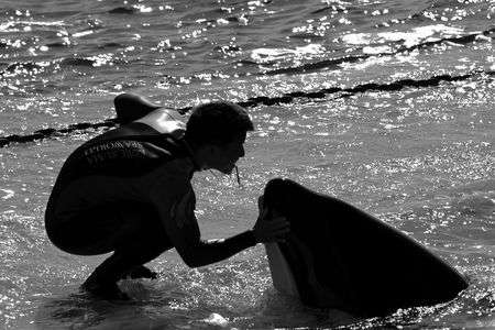 最高のパートナー