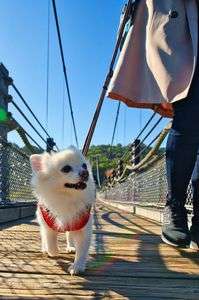 お散歩日和いくぜぇ！