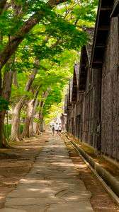 新緑の山居倉庫