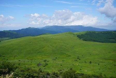 霧ヶ峰高原
