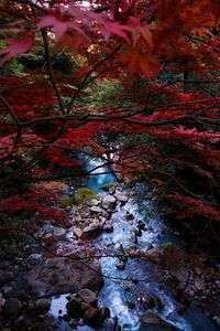 丸尾滝の向かい側