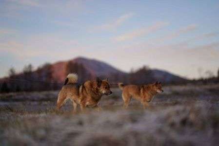 朝散歩、冬への入口