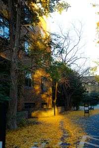 東大落ちた紅葉、、