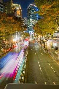 秋の茂みで都会が映える