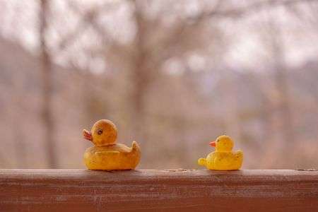 背中で語る、親の背中