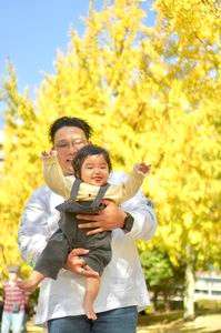 パパと銀杏並木を散歩