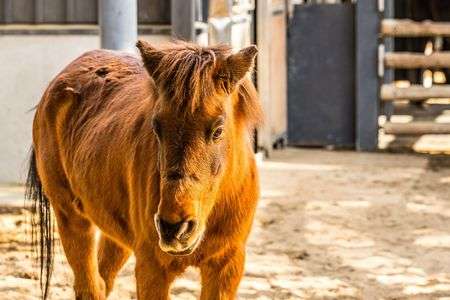 日差しが暖かい