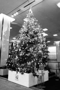 クリスマスツリー７変化