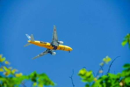 初夏の黄色いたくあん