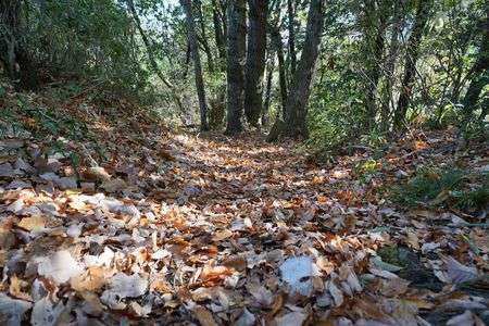 季節は移る　天香久山　万葉の森