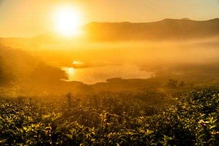 黄金色に包まれる八島湿原