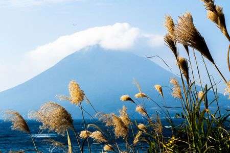 ひんやり、冬の足あと。